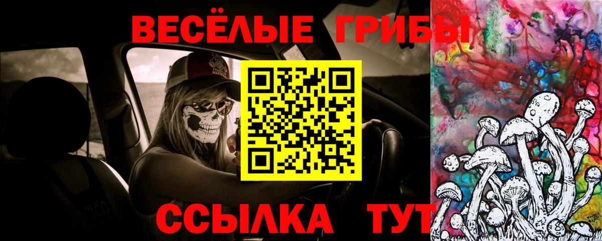 Фролово  Галлюциногенные грибы прущие грибы  Псилоцибиновые грибы мицелий  Вход с VPN 